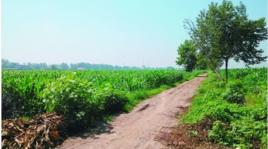 15歲女孩遭6名男子輪姦事件 15歲女孩遭6名男子輪姦事件