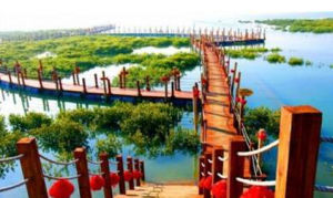 金海灣紅樹林生態休閒度假旅遊區 金海灣紅樹林生態休閒度假旅遊區