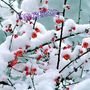白雪紛紛