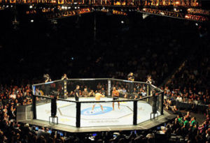 八角鐵籠 八角鐵籠