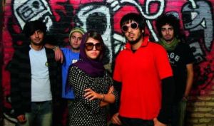 無人懂得波斯貓 無人懂得波斯貓