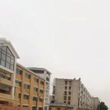 新村何家村 新村何家村