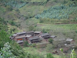 山棠箐村 山棠箐村