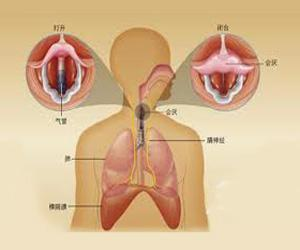 鼻腔惡性腫瘤