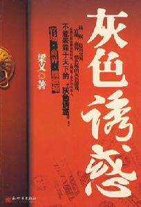 電腦時代的灰色誘惑 電腦時代的灰色誘惑