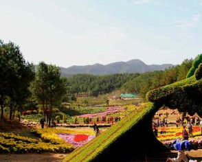 五腦山國家森林公園