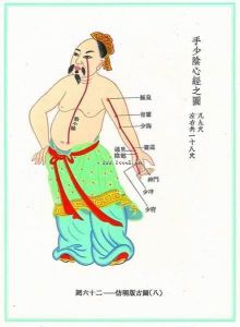 手少陰心經經絡示意圖 手少陰心經經絡示意圖