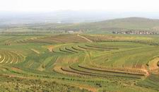 薩力巴鄉三十二連山生態工程示範區