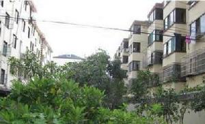 貝港南區 貝港南區