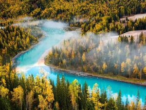 基岩階地 基岩階地