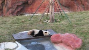 大豐港動物園 大豐港動物園