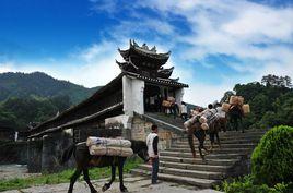 江南鎮[湖南省安化縣江南鎮]