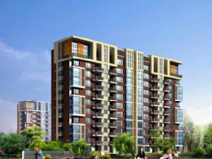 陽光上品 陽光上品