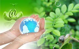 綠色氣候基金 綠色氣候基金