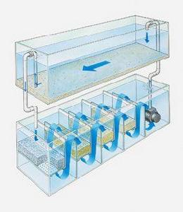 虹吸濾池 虹吸濾池