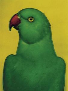 薩拉·夢 薩拉·夢