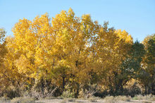 呼圖壁縣旅遊景點