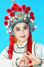 國二級演員--章勝強等