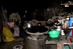 人口健康文化發展基金 人口健康文化發展基金