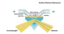 SPR 技術示意圖