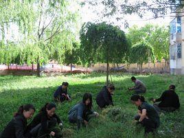 軍墾路街道 軍墾路街道