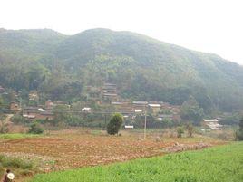 田尾巴自然村 田尾巴自然村