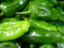 null[茄科植物名]