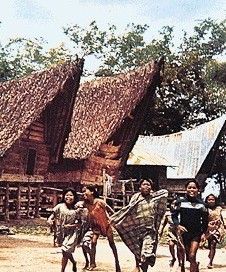 巴塔克人 巴塔克人