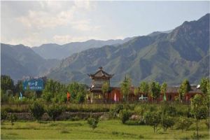 張山營鎮 張山營鎮