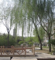 榮景家園 榮景家園