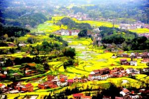 西鄉盆地 西鄉盆地