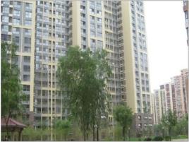 和平街西苑 和平街西苑