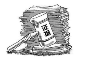 訴訟證據 訴訟證據