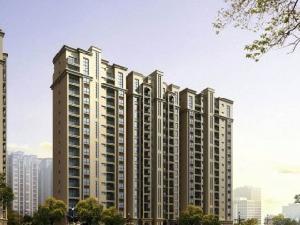 鷺島之星 鷺島之星