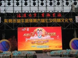 望牛墩七夕風情文化節 望牛墩七夕風情文化節