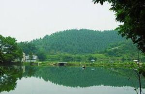 萬有國家森林公園 萬有國家森林公園