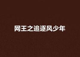 網王之追逐風少年 網王之追逐風少年