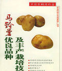 馬鈴薯優良品種及豐產栽培技術