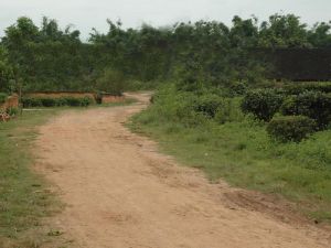 納扁老寨村 納扁老寨村