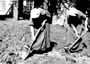 天主教隱修制度