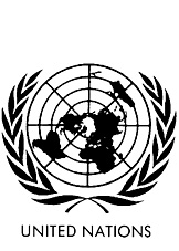 （圖）聯合國維持和平行動