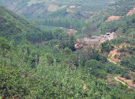 蘇村鄉[陝西大荔縣轄鄉]