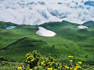 甘洛馬鞍山自然保護區