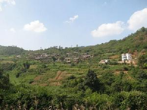 阿保租村 阿保租村