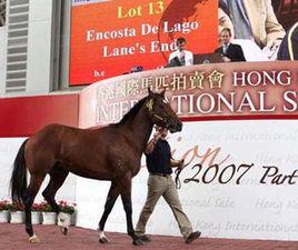 好爸爸[香港純種競賽馬匹]