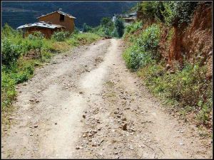 青雲新莊村 青雲新莊村