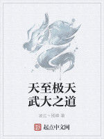 天至極天武大之道 天至極天武大之道