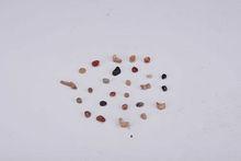 北宋東府佛牙舍利