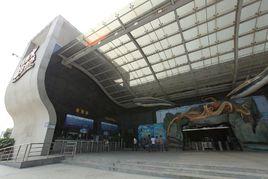 合肥海洋世界 合肥海洋世界