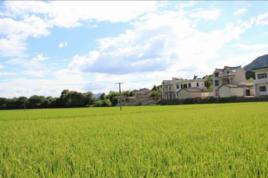 路西村[安徽旌德縣三溪鎮下轄村]